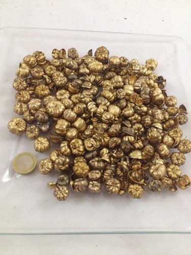 Putkha pods 40 gr. goud